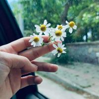 trankhanhvy_2019