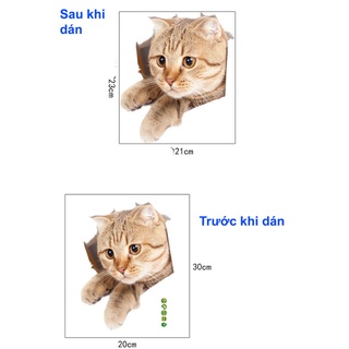 Decan dán tường 3D đẹp, decan dán tường hình mèo