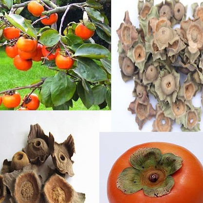 [Mã BMTTC60K giảm đến 60K đơn 50K] Thị đế khô thượng hạng JINDO 1kg