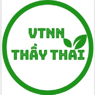vtnn.thaythai