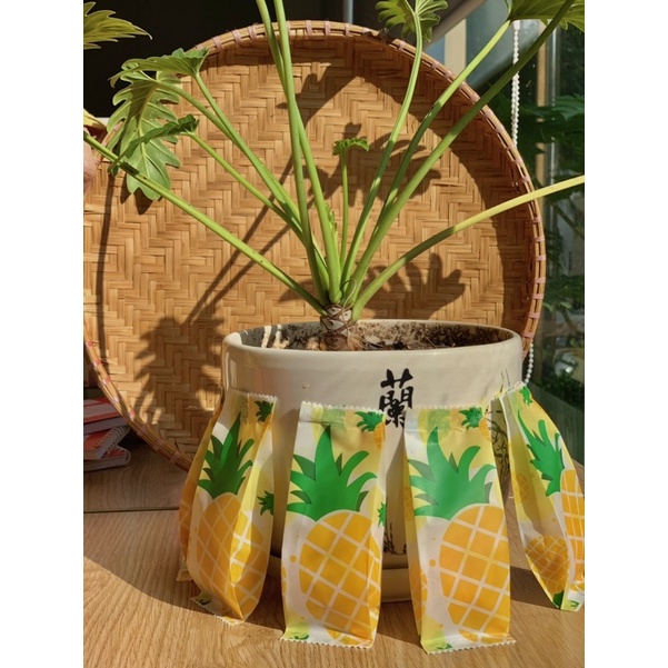 combo 1kg Bánh dứa