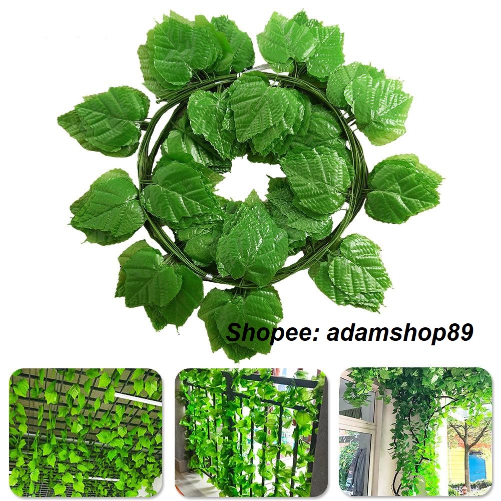 Combo 12 Dây lá nho cuống xanh dài 2,3 – 2,5m (lá to)