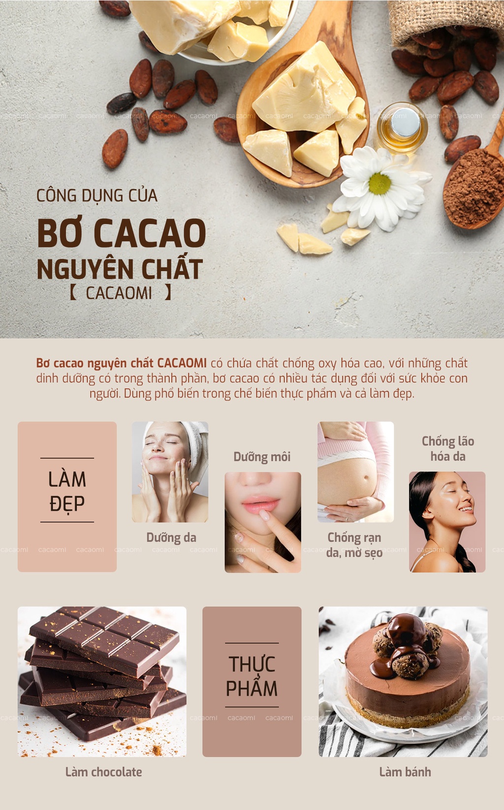 Mô tả Bơ cacao nguyên chất từ hạt ca cao làm bánh socola chocolate, ăn chay CacaoMi Cocoa Butter 250g/500g - 2