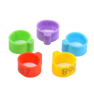 Set 50 Vòng Đệm Chân Vịt/Gà/Vịt 6 Màu Bằng Nhựa 01-50 16mm