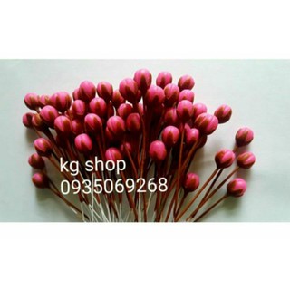 Nụ, lá đào