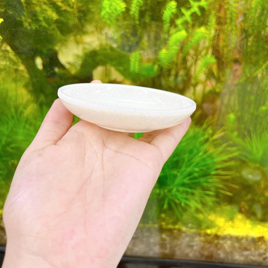 combo 10 Chén Đựng Tương Vân Đá Trắng Nhựa Melamine 26 Cao Cấp - Chính Hãng  Fataco Việt Nam