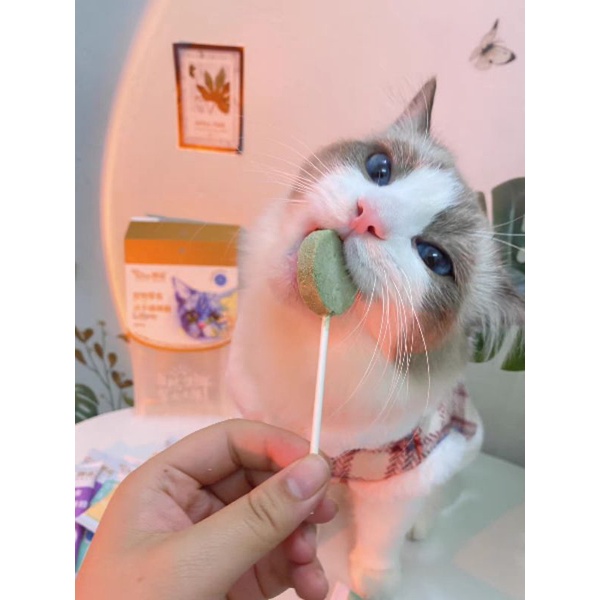 Bánh Thưởng Que Sấy Lollipop Cho Cún Mèo - 1,4 Gram