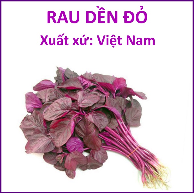 Hạt Giống Rau Dền Đỏ (20g) | Shopee Việt Nam