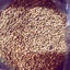 HẠT MÙI (NGÒ) KHÔ LOẠI MÙI TA THƠM NGON GÓI 1000G