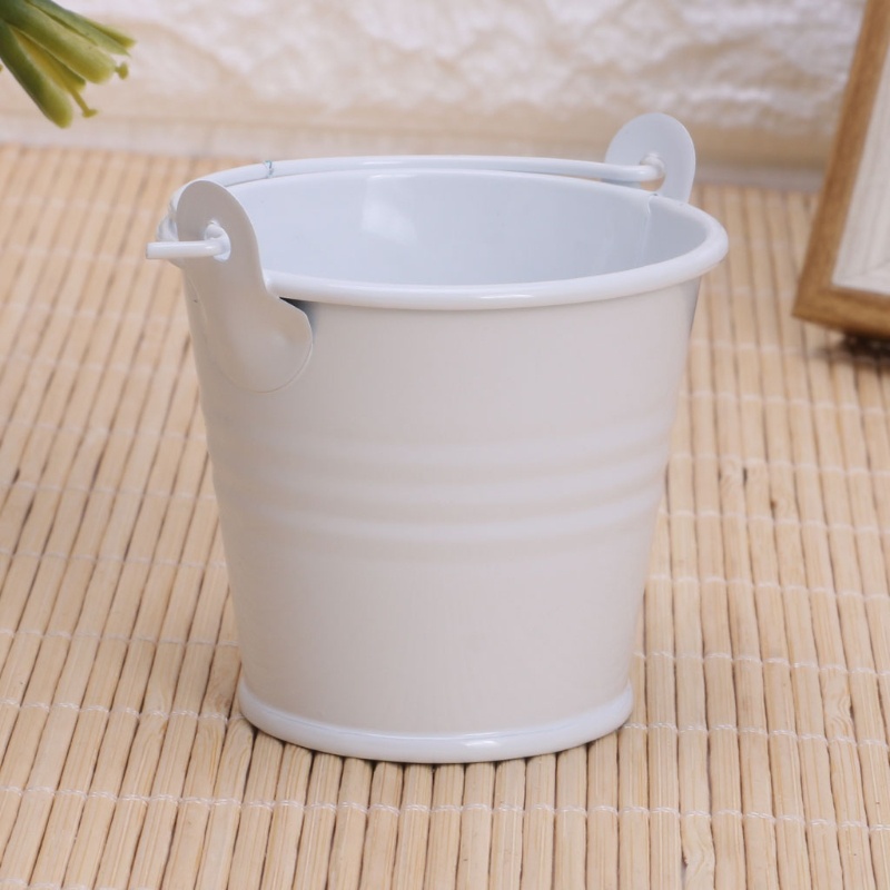 Mini Flower  Metal Barrel Plant Succulent Plant Flowerpot Home Office Decor