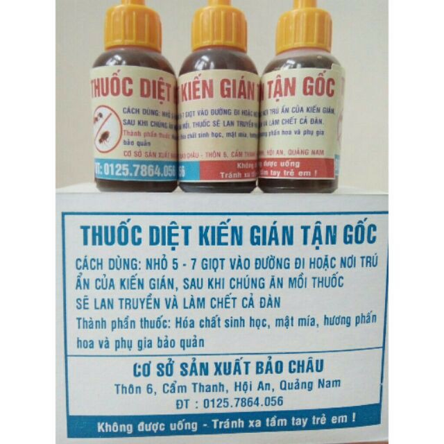 Cách Làm Thuốc Diệt Kiến Tại Nhà Hiệu Quả Và Tiết Kiệm