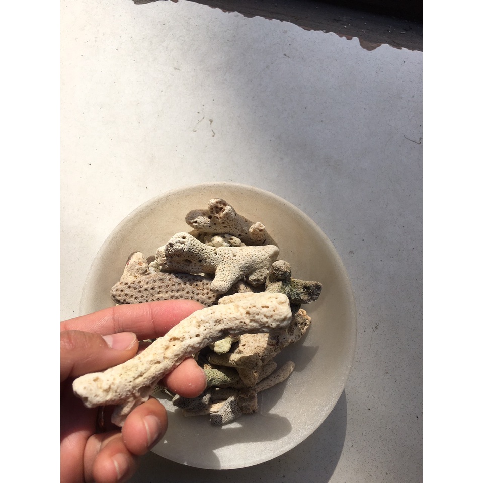 1kg San hô biển lọc nước và trang trí bể cá cảnh ,tiểu cảnh.