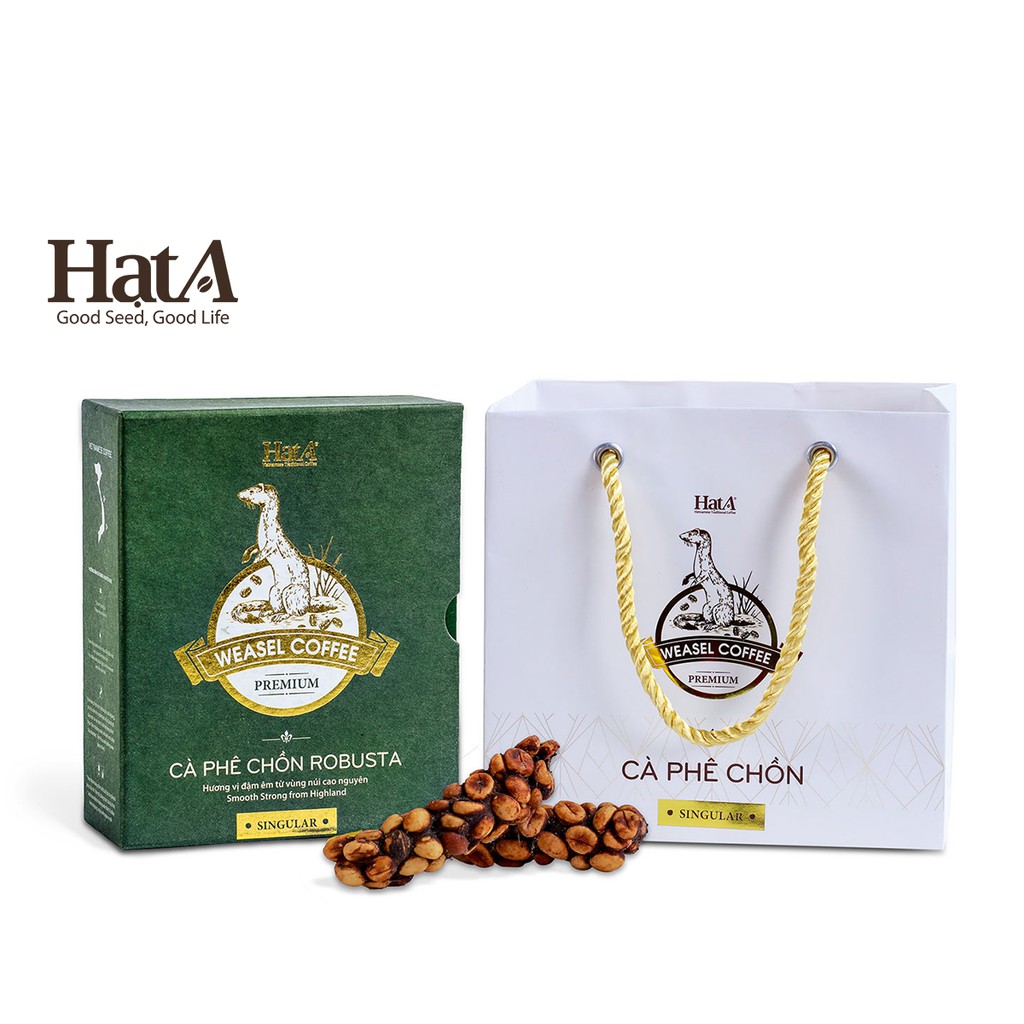 Cà phê chồn Hạt A Cafe Premium Weasel Coffee 100% hạt Cà phê chồn Hạt A Cafe Premium Weasel Coffee 100% hạt