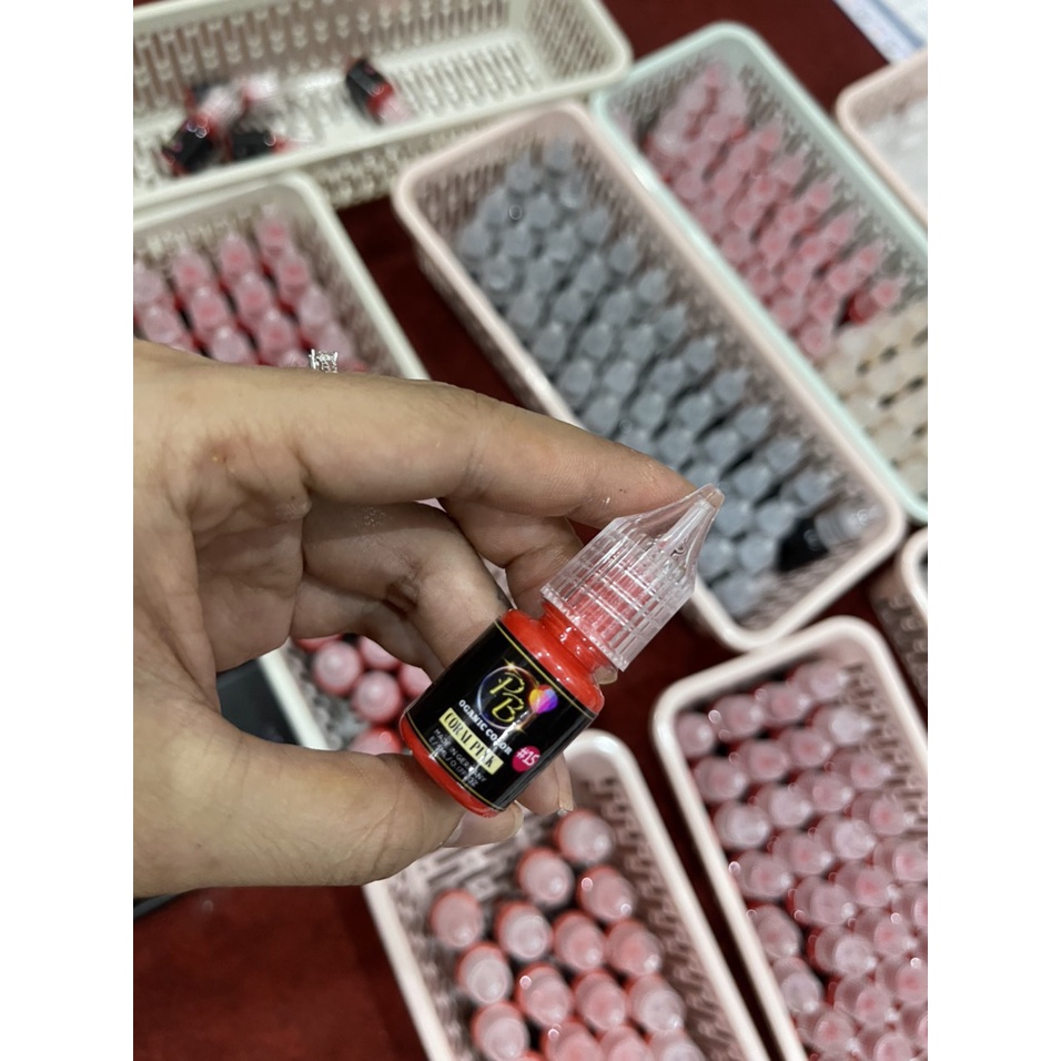 Mực phun xăm Hữu Cơ, ĐỎ ĐẤT và 22 màu Mực Nước phun xăm Thẩm Mỹ
