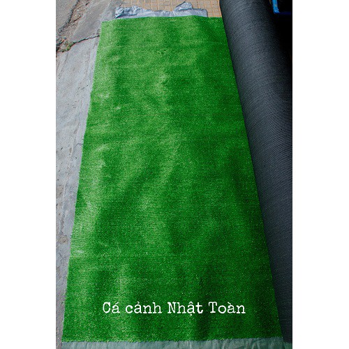 THẢM CỎ NHÂN TẠO TRANG TRÍ CẮT THEO KHỔ