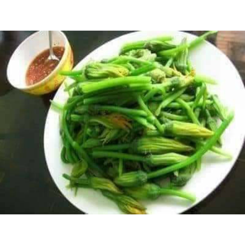 20gr hạt giống bí siêu ngọn mập f1 chất lượng cao 😍🧡Freeship ❤️💥chất lượng cao