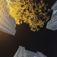 ngoc_anh_09