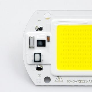 Chip LED COB 50W 110V 220V 10W 30W 20W 10W IC thông minh Phù hợp với đèn LED ngoài trời DIY Không cần trình điều khiển