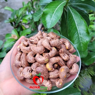 Mona Organic | Hạt Điều rang muối Bình Phước (hàng loại 1) 500gr