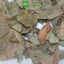 Lá vông nem khô thượng hạng JINDO 1kg