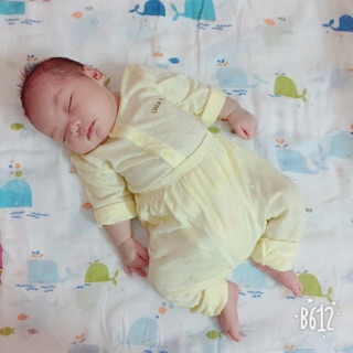 vivian291311