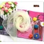 Jifang 60 * 60CM Thời Trang Trơn Nữ Bé Gái Rayon Vuông Khăn Mỏng Màu Kẹo Nhảy Múa Khăn quàng cổ Nữ Cô Gái WJ81