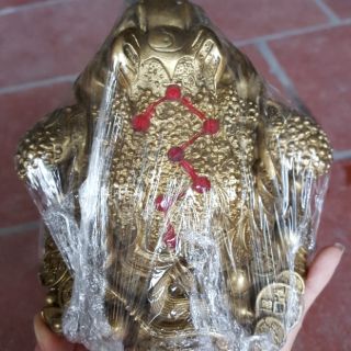 Cóc Ngậm Tiền 3 Chân Thờ Thần Tài Bằng Đồng Thau Nguyên Chất Cao 10cm