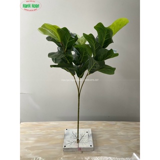 Cây bàng Singapore thân cổ 3 nhánh lá cao 1m ( Không kèm chậu )-Cây giả decor