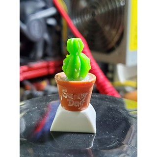 Keycap chậu hoa xương rồng, nút bấm bàn phím cơ hình cây xương rồng