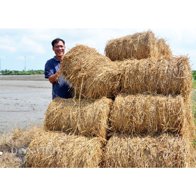 1kg Rơm khô - trang trí - giá thể trồng cây | Shopee Việt Nam