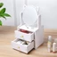 Kệ Mỹ Phẩm Tủ Đựng Đồ Trang Điểm Kệ Bút Để Bàn Trang Điểm Mini Có Gương Mèo 2 Ngăn Kéo Kèm Hộc Tủ Tiện Lợi