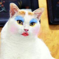 trangnguyen128