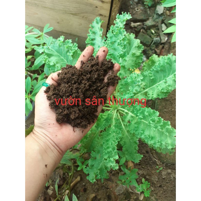 10kg Phân Tr.ùn Ngu.yên Ch.ất Nhà N.uôi, Đủ Tháng Xuất, Duy Trì Độ Ẩm Giúp Trứ.ng Tr.ùn Còn