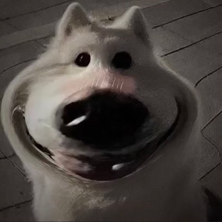 api_phan22