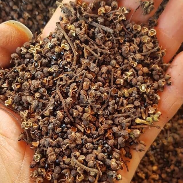 Hạt mắc khén khô thượng hạng JINDO 1kg tác dụng hỗ trợ giảm đ_ầy b_ụng, kh_ó t_iêu, đ_au x_ương