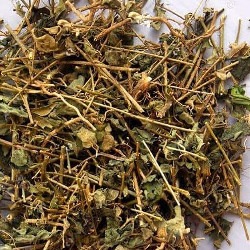 Cà gai leo khô thượng hạng JINDO 1kg giúp hạ men gan