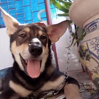 hoangdieulinh03052007