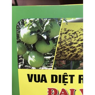 Bộ 10 miếng diệt ruồi vàng Đại Việt