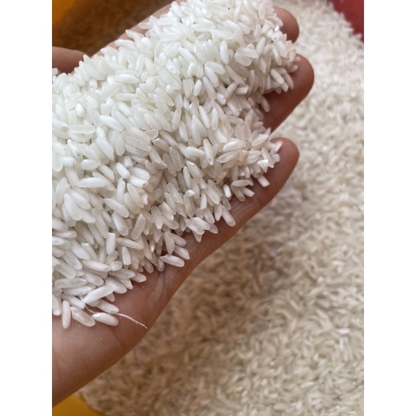 Gạo 504 (Nở Cơm Bao 10Ky) | Shopee Việt Nam