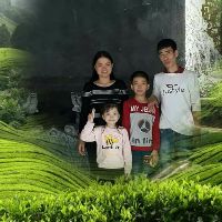 tran.phi.hung