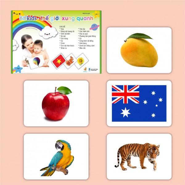 Ảnh Flashcard - Combo kết hợp bộ thẻ Theo Phương Pháp Glenn Doman (Hộp 459 thẻ) 4