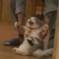 tieuu_