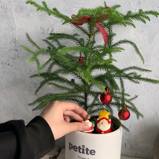 dde_la_gift