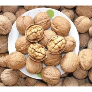 Quả Óc Chó Mỹ Nhập Khẩu (hàng vỏ mỏng, sấy khô, thơm ngon, hàng chuẩn loại ngon) 0,5kg