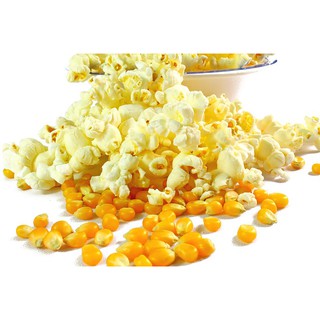500g Popcorn - Bắp Nổ hồ lô corn kernels bỏng ngô hàng cao cấp
