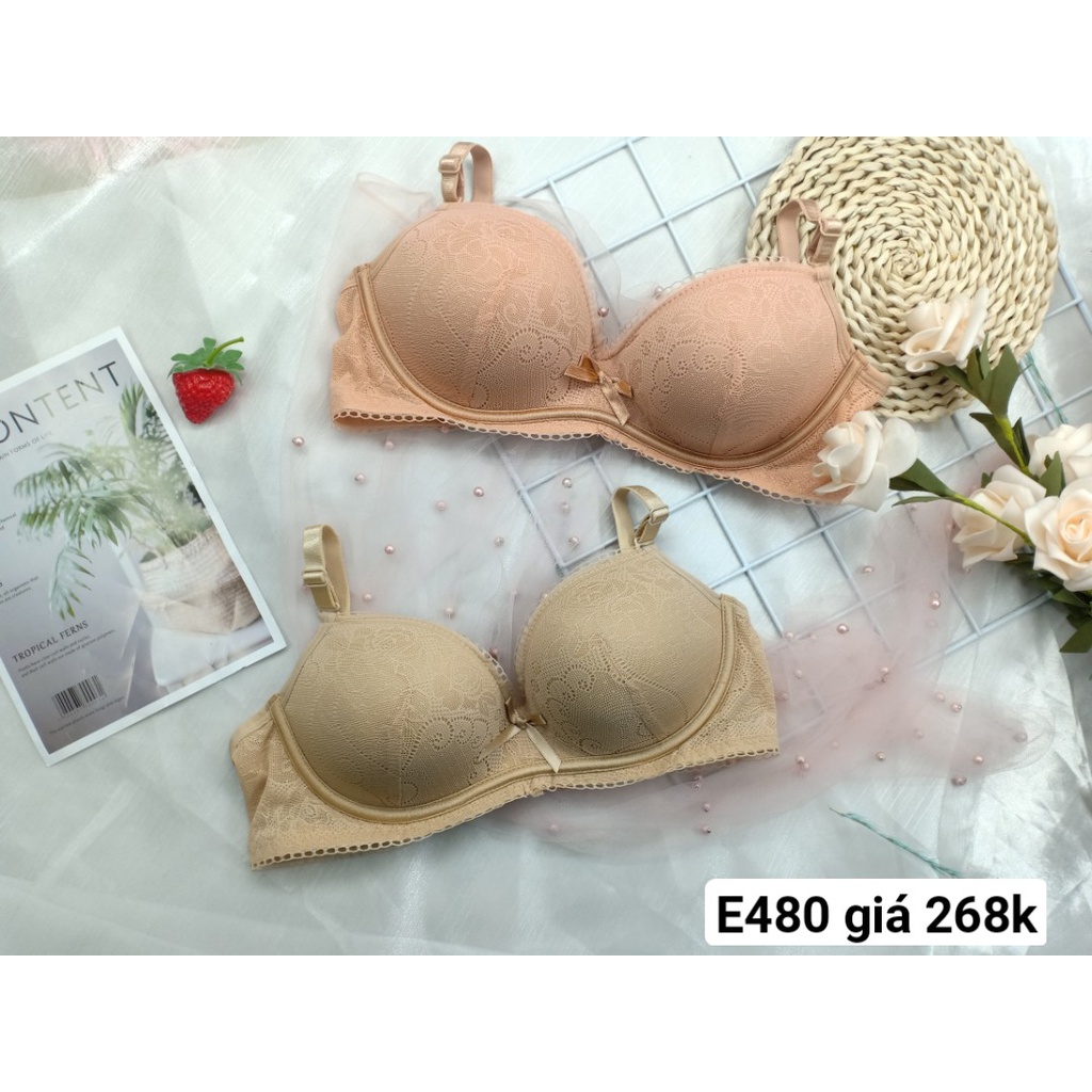 Áo Ngực Nữ Cao Cấp, Áo Lót Nữ Giả Gọng E480 - Thương Hiệu 12H
