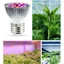 Năng động Full Spectrum 28leds Phát triển ánh sáng được thiết kế để tăng trưởng thực vật tối ưu trong thủy canh và vườn trong nhà E27 Gu10 E14