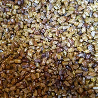1kg Hạt muồng ( thảo quyết minh) làm trà hoặc đồ chơi xúc cát - Hàng công ty Thảo Dược Việt