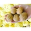 Quả Óc Chó Vàng Mỹ 500g - Bổ 𝑁𝑎̃𝑜, Bổ 𝐾ℎ𝑖́ 𝐻𝑢𝑦𝑒̂́𝑡, Tốt Cho 𝑇𝑖𝑚 𝑀𝑎̣𝑐ℎ, Người 𝑇𝑖𝑒̂̉𝑢 Đ𝑢̛𝑜̛̀𝑛𝑔