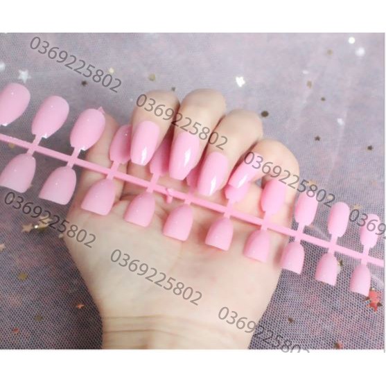 Móng sơn sẵn set 24 cái (đủ size)